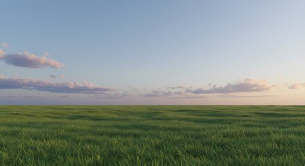 Serene Sunset over Expansive Grassland A Peaceful Landscape Image