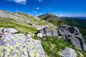 Summer landscape of the Low Tatras, Slovakia.