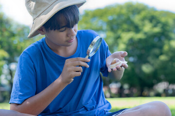 A thoughtful boy closely observes two seashells in his hands. The image reflects curiosity, learning, and a love for nature in an outdoor environment.