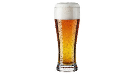 Isolated Glass of Refreshing Lager Beer with Foam
