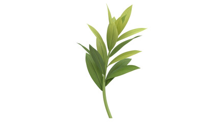 Isolated Green Plant Branch