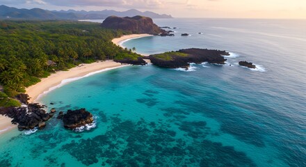 Tropical beach paradise with turquoise water and palm trees