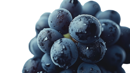 Ripe and fresh grapes with water drops or dew on transparent background. PNG