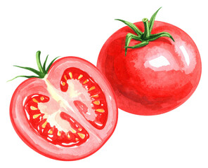 watercolor illustration of a red tomato isolated