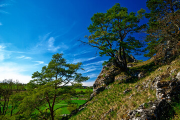Fototapeta premium a beautiful day in the ancient town of Dollnstein