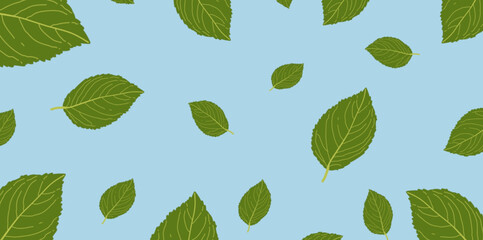 Green leaf pattern background with unique characteristics on blue canvas can be used for banner decoration, home display, poster decoration.