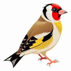 Fototapeta premium Short-Billed European Goldfinch Vector Illustration – Red-Headed Bird with Black and Yellow Wings