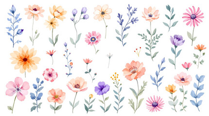Set of watercolor wild flowers, set of flowers clipart