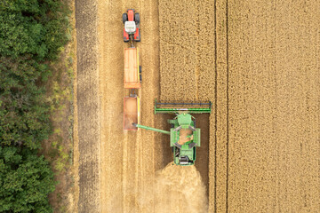 Top down view of combine harvester on wheat field and unloading to tractor trailer. Drone View of Agricultural Machinery, Food Production, Rural Scenery.