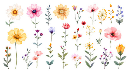 Colorful spring flowers, Set of watercolor flowers, Clipart watercolor flowers	