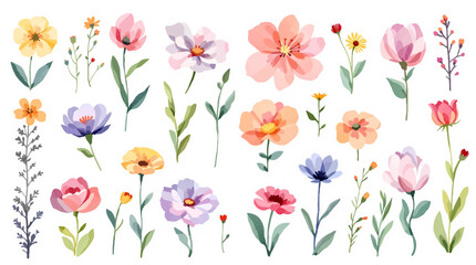 Colorful spring flowers, Set of watercolor flowers, Clipart watercolor flowers	