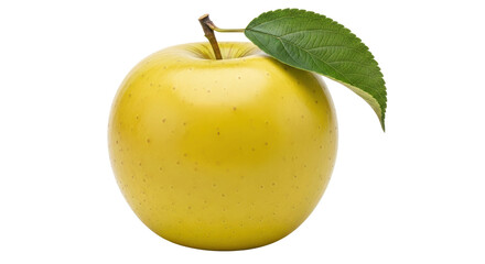 Isolated Green Apple