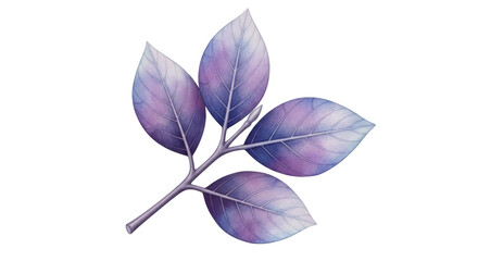Isolated Purple Watercolor Leaves