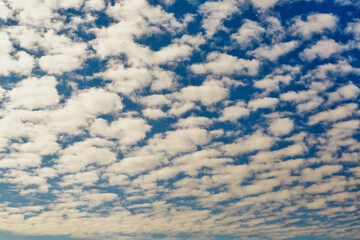 Fototapeta premium Cirrocumulus clouds filled the entire blue sky, clouds high in the sky extending to the horizon, blurred texture of clouds in the blue sky.