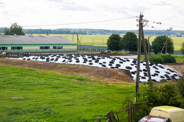 A pile of tires in a field with a building in the background