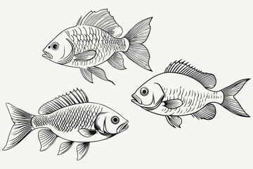Fototapeta premium fish set sketch illustration vector