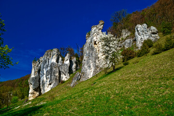 a beautiful day in the ancient town of Dollnstein