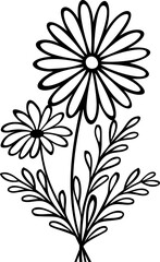 Bouquet of wild flowers. Black and white