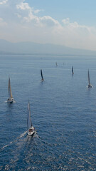 sailboats in the sea