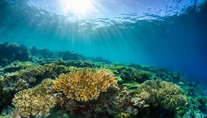 Obraz premium sunlight filters through turquoise ocean water onto a vibrant coral reef under the sea