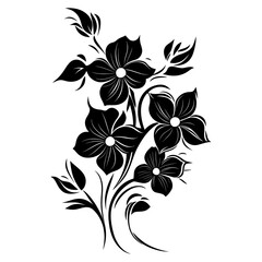 Obraz premium Floral element pattern black white vector