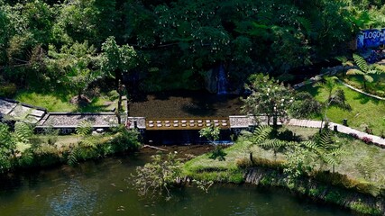 Idyllic aerial scene of a charming footbridge over a stream in a lush green park, surrounded by ferns and flowering trees