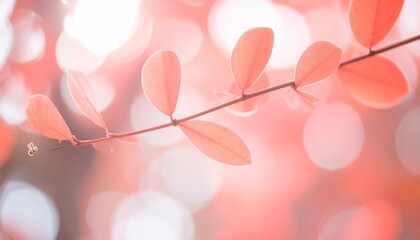 Fototapeta premium Exquisite Delicate Coral Leaves on a Branch, Set Against a Dreamy Soft Focus Bokeh Background, Highlighting Nature's Beauty, Serenity, and Subtle Elegance.
