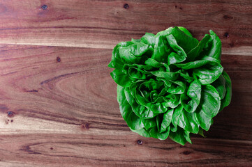 A head of green leaf lettuce on a wood cutting board with copy space to the left