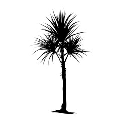 Fototapeta premium Short palm tree silhouette illustration black vector
