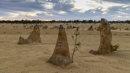 The Three Amigos at The Pinnacles.