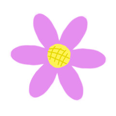 pink flower on white background