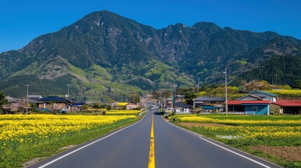 Country road winding through yellow fields, mountains backdrop