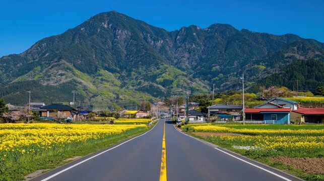Country road winding through yellow fields, mountains backdrop