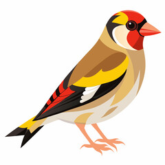 Obraz premium Vector Illustration of Small Goldfinch – Bright Colors and Shorter Wings