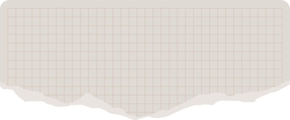 Torn piece of graph paper