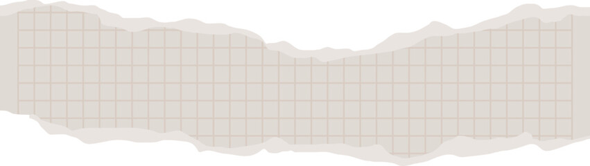 Torn piece of graph paper