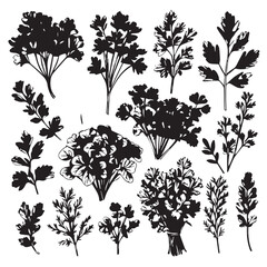 Culinary Leaf Collection