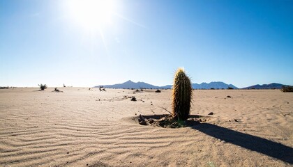 Resilient Lone Cactus in a Striking Minimalist Desert Landscape Under Bright Sunlight, Symbolizing Endurance, Simplicity, and Arid Beauty.
