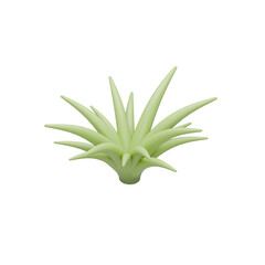 3d aloe vera leaf