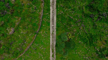 Top-down aerial view of a narrow concrete stair cutting through a vibrant green, rocky landscape