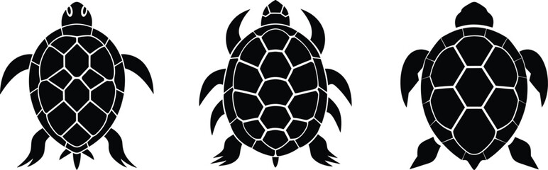turtle vector silhouette and black and white color art and Illustration