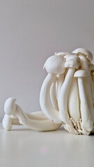 fresh mushrooms on a wooden table