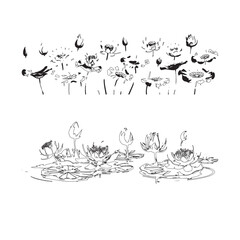 Abstract Lotus Flower Bloom Line Drawing Vector Set
