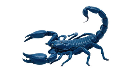 Isolated Blue Scorpion