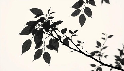 Subtle grayscale leaf and branch silhouette pattern on muted beige background,  stock photo,  download