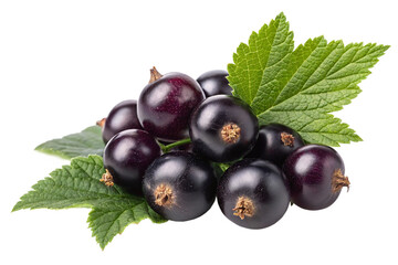 Blackcurrant berries on a white background