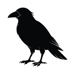 Black Crow Vector Silhouette on White Background, ai generated