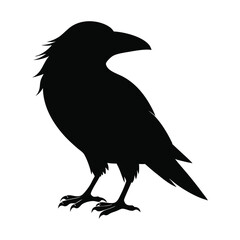 Black Crow Vector Silhouette on White Background, ai generated