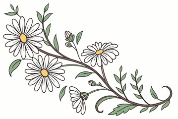 Hand drawn floral garland with daisies and greenery