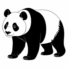 panda bear vector illustration